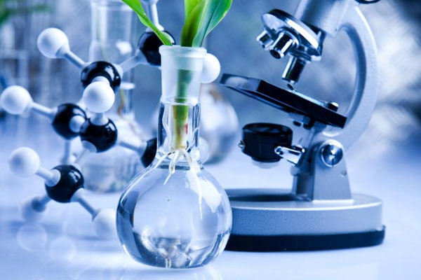 Medical devices – Quality Management Systems